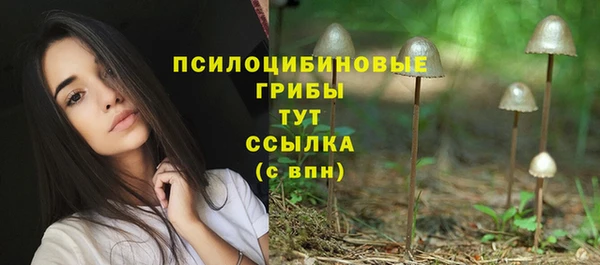 трава Алзамай