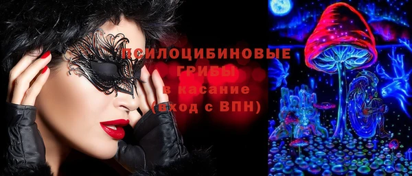 спайс Аркадак