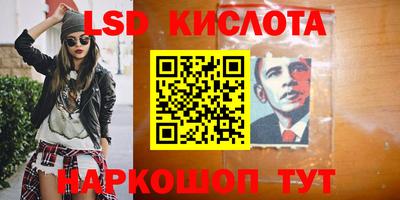 ПСИЛОЦИБИНОВЫЕ ГРИБЫ Заволжье