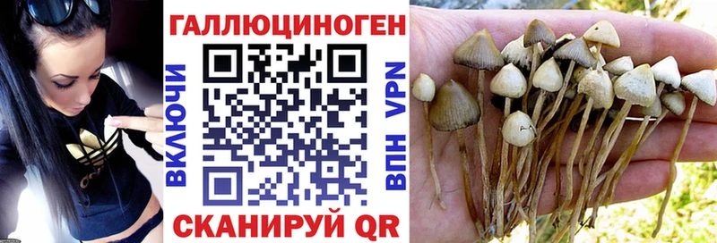 наркошоп  кракен сайт  Галлюциногенные грибы мицелий  Волхов 