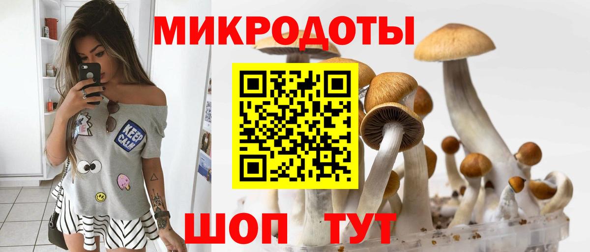 Галлюциногенные грибы Cubensis Волхов