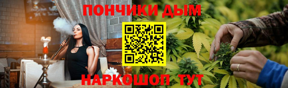 Конопля сатива Волхов
